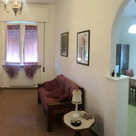L'olivo Di Piero Capannori